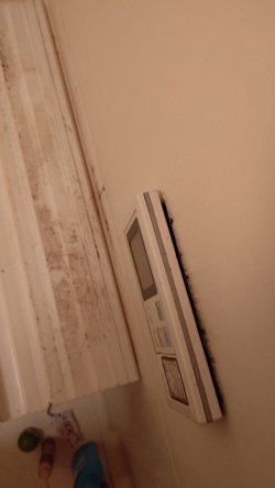 DIAGONAL_0001_BURST20201019140459211_COVER_コピー