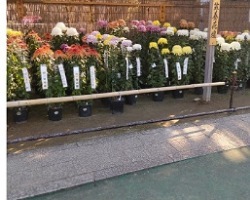 IMG_20221123_085534_(250_x_200_ピクセル)