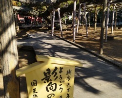 IMG_20221123_092024_(250_x_200_ピクセル)