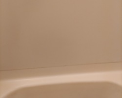 IMG_20221222_192615_(250_x_200_ピクセル)