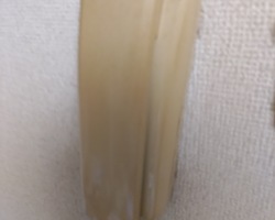 IMG_20230522_194729_(250_x_200_ピクセル)